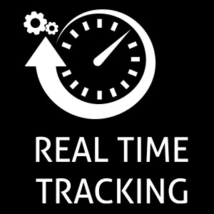 Vehicle Emergency Systems