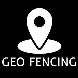 Vehicle Anti-Theft Systems